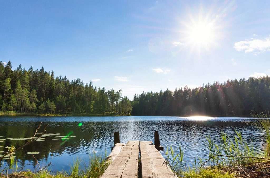 View of a lake in the woods